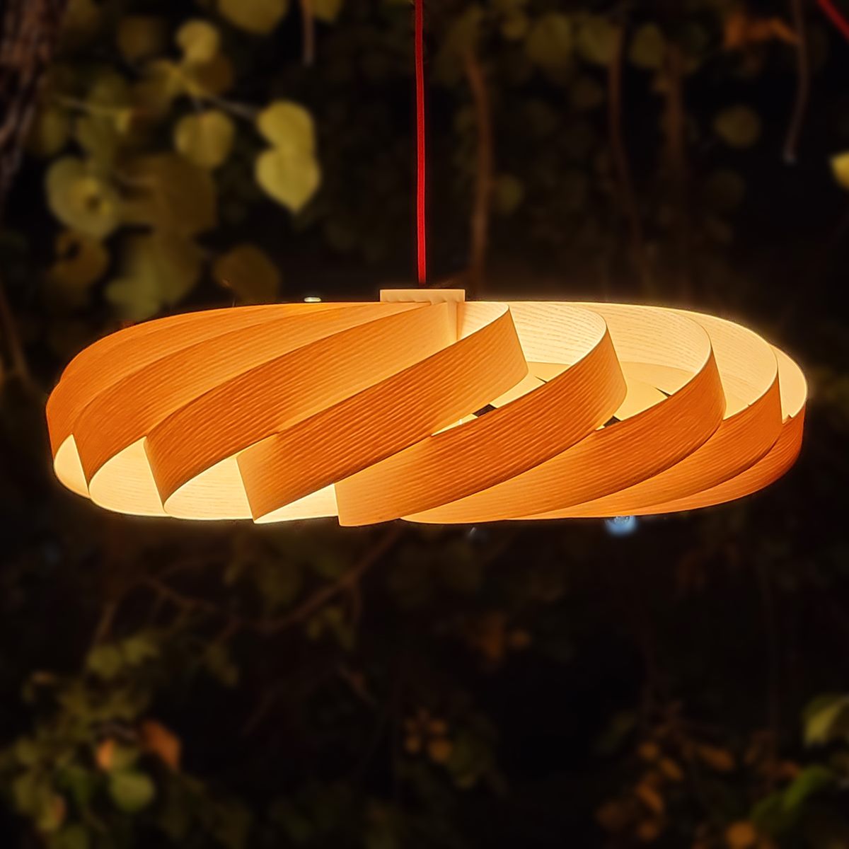 Die Soléra leuchtet nachts warm zwischen den Blättern eines Baumes