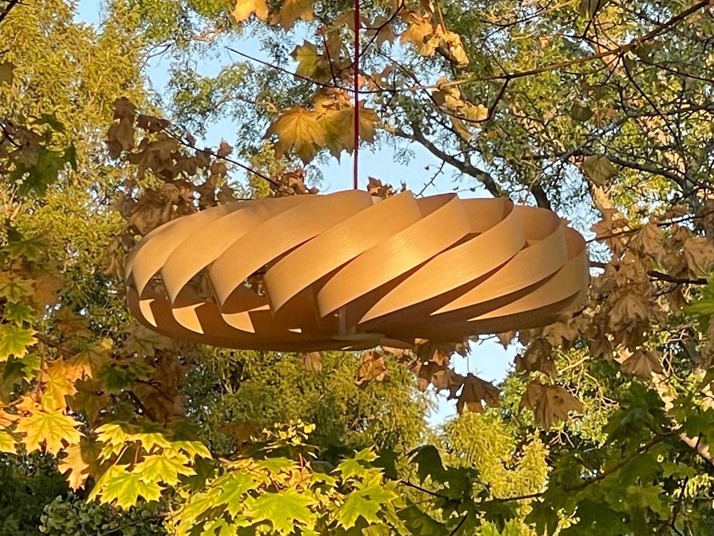 Die Soléra tagsüber, ausgeschaltet, zwischen Herbstblättern in einem Baum