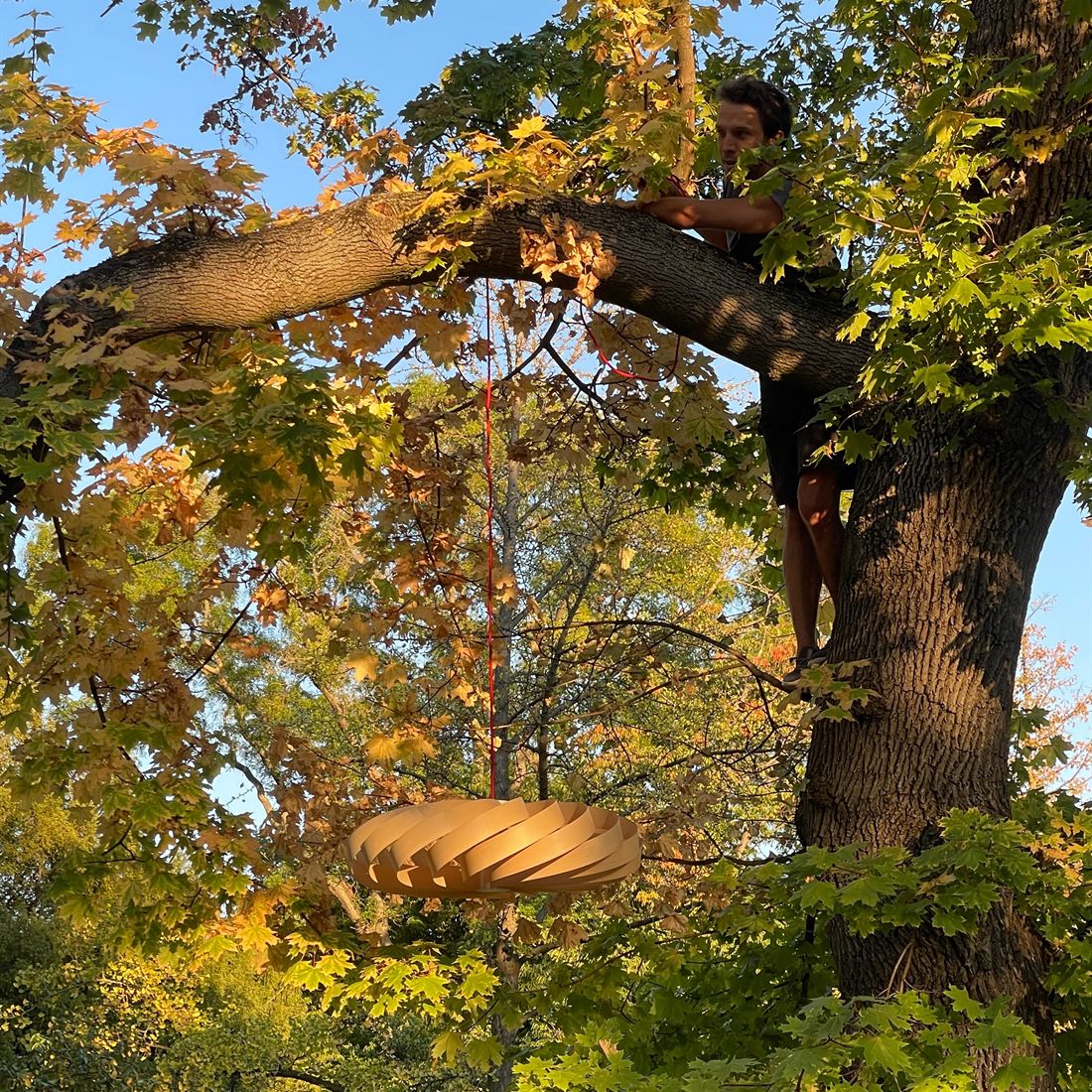 Max sitzt in einem Baum und hängt die Soléra an einem Ast auf